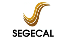 logo 12